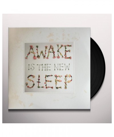 Ben Lee Awake Is the New Sleep Vinyl Record $5.09 Vinyl