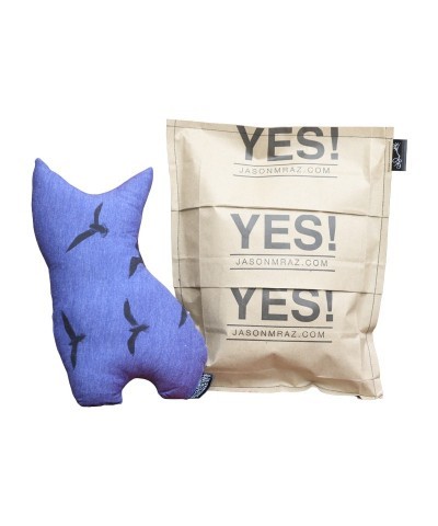 Jason Mraz Clever Kitty Plush Pillow $9.89 Figurines
